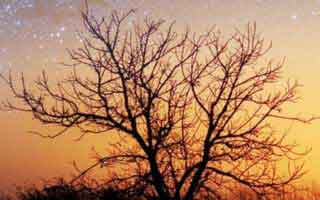 云开体育相关下载包怎么避坑？实测复盘讲明白