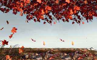 我只是点开开云app页面，手机就出现异常提示，我后来才懂