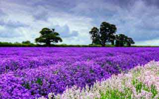 云开体育相关下载包怎么避坑？实测复盘讲明白