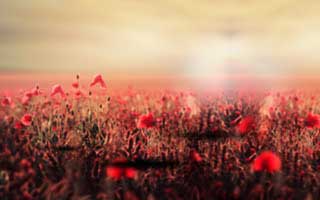 朋友圈刷屏的99图库截图，可能暗藏短信劫持：域名、证书、签名先核对